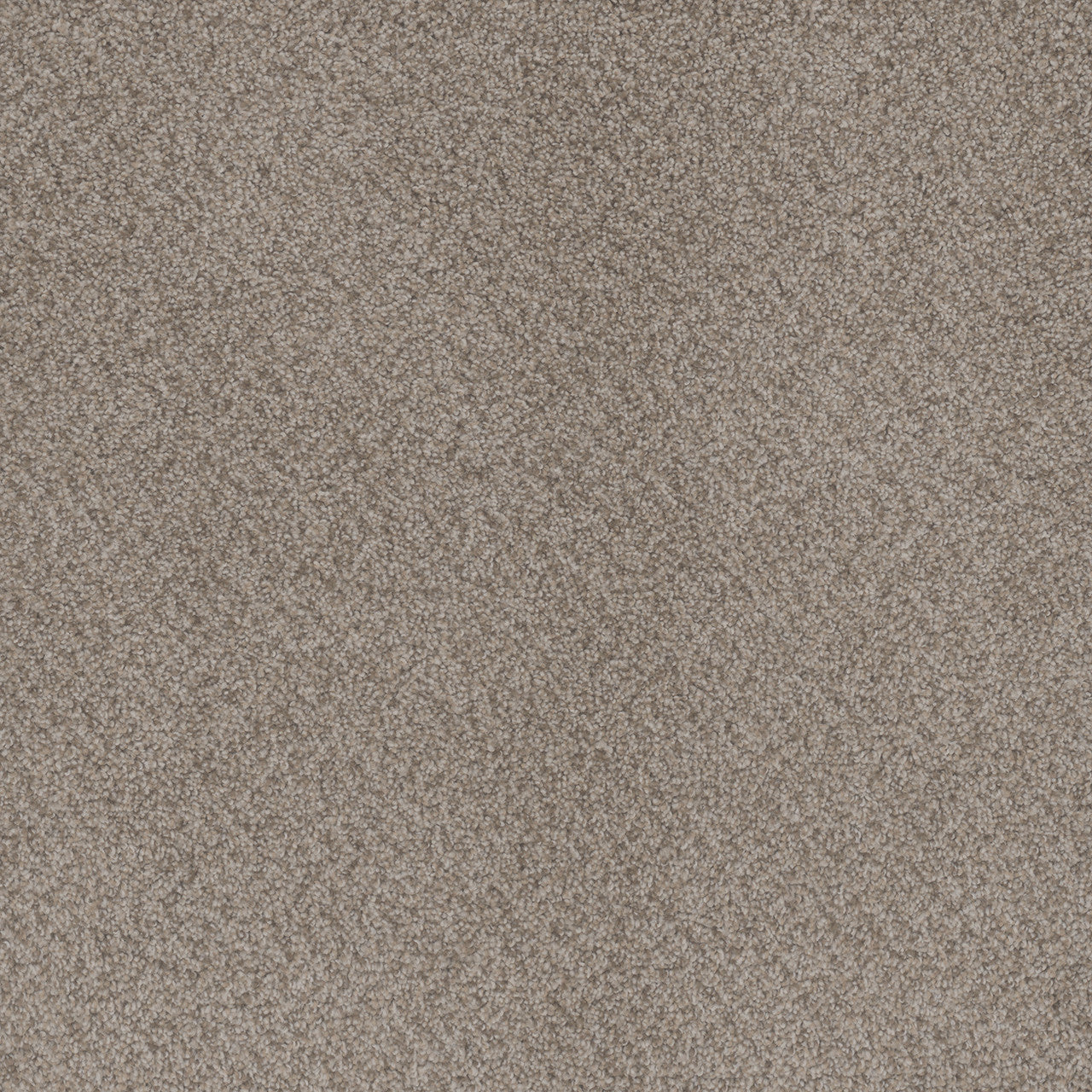 Carpet Flooring
