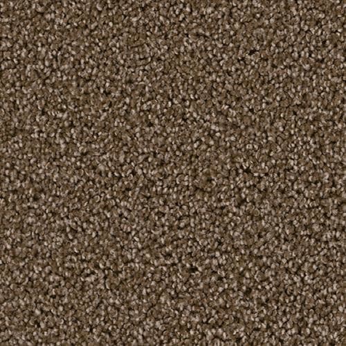 Carpet Flooring