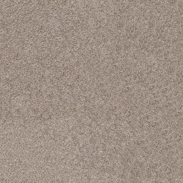 Carpet Flooring