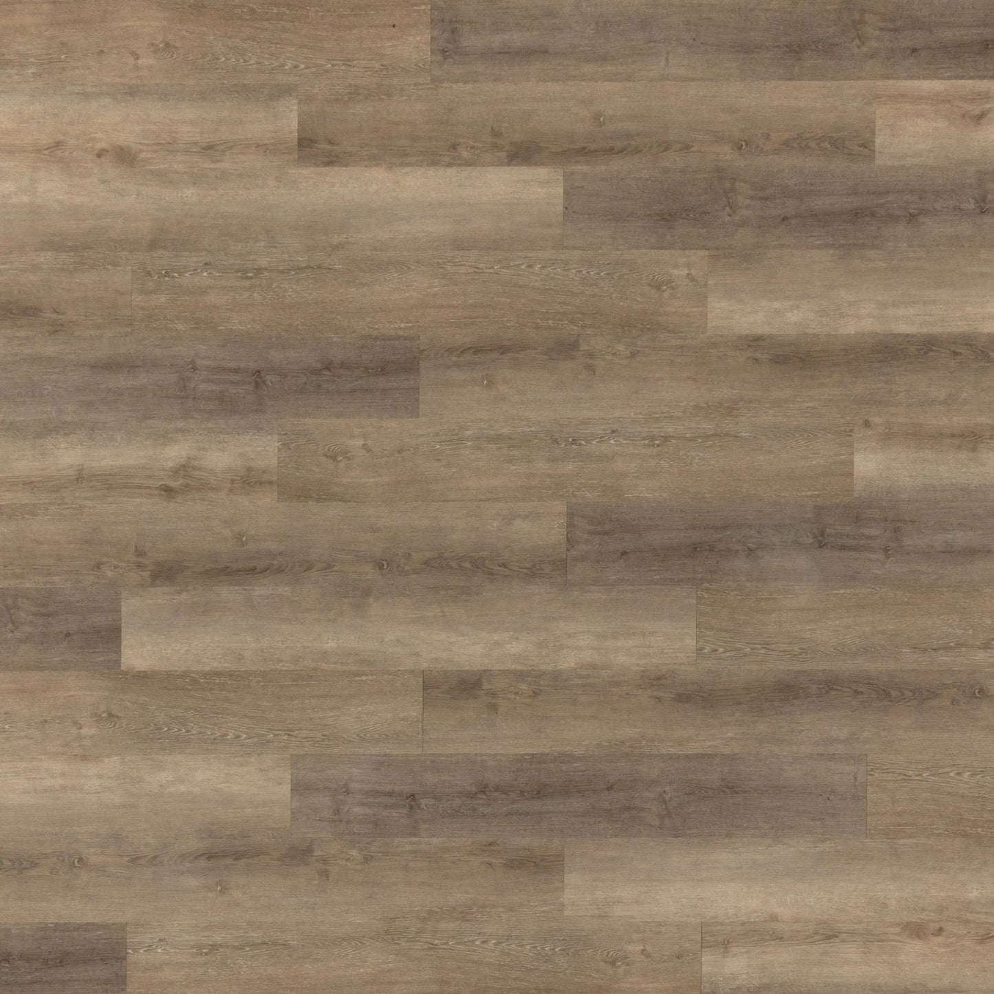 LVP GLUEDOWN FLOORING