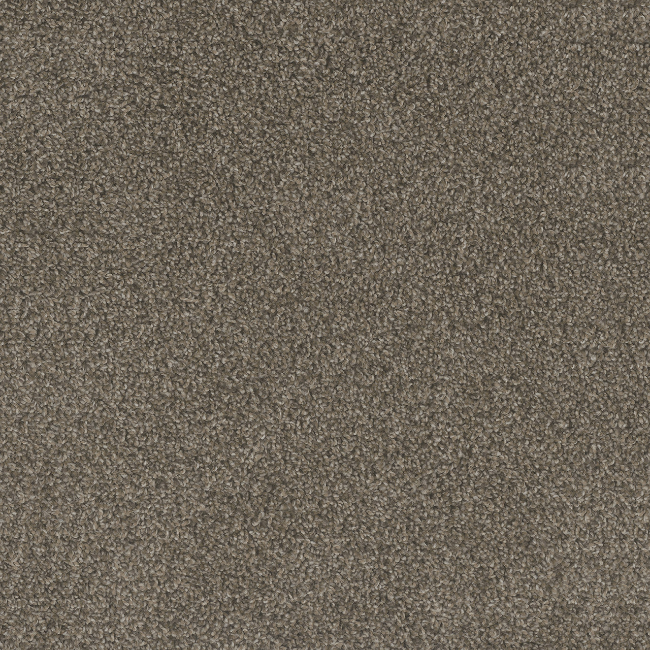 Carpet Flooring