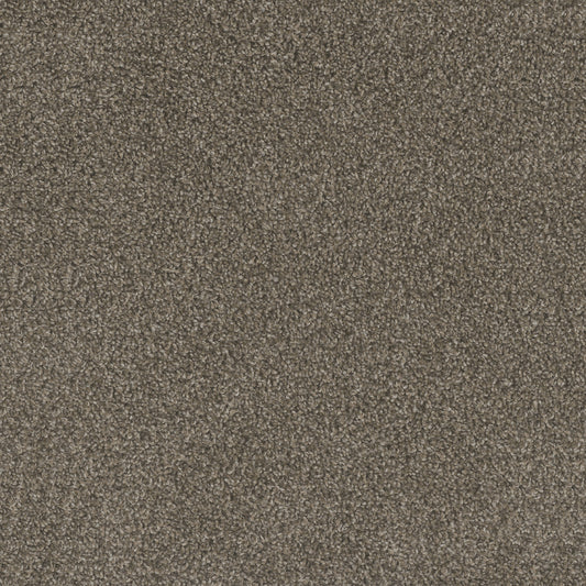 Carpet Flooring