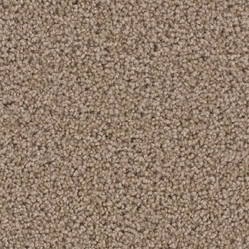 Carpet Flooring