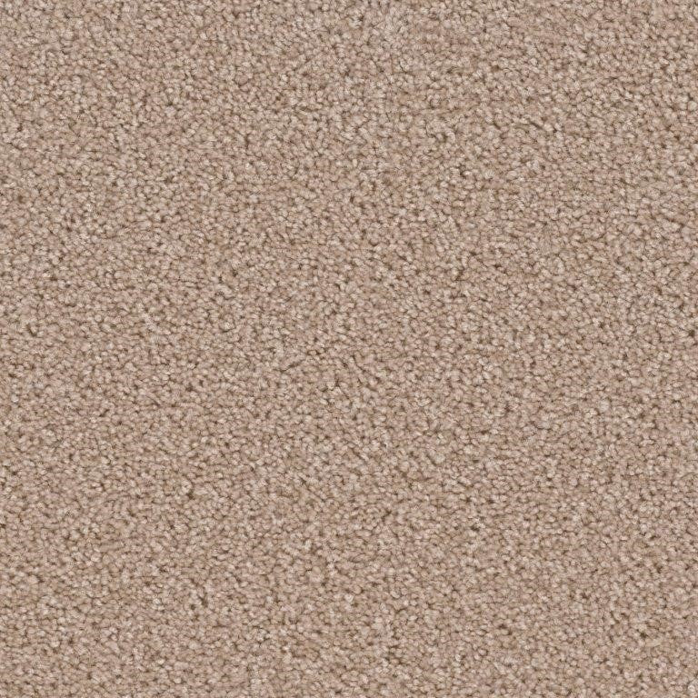 Carpet Flooring