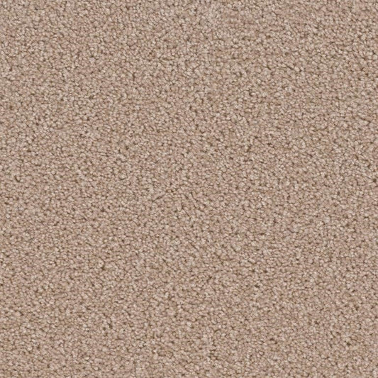 Carpet Flooring