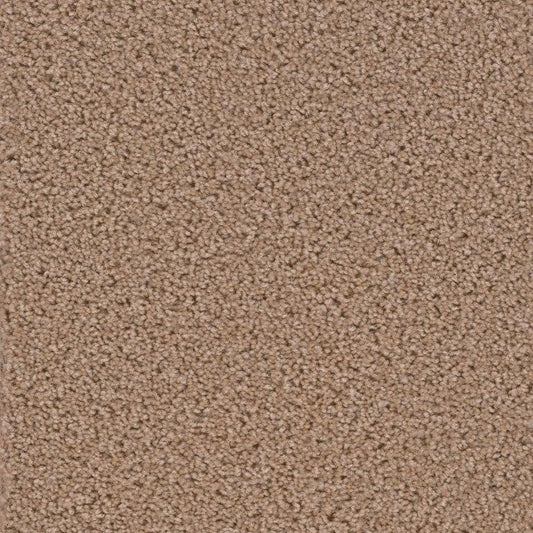 Carpet Flooring