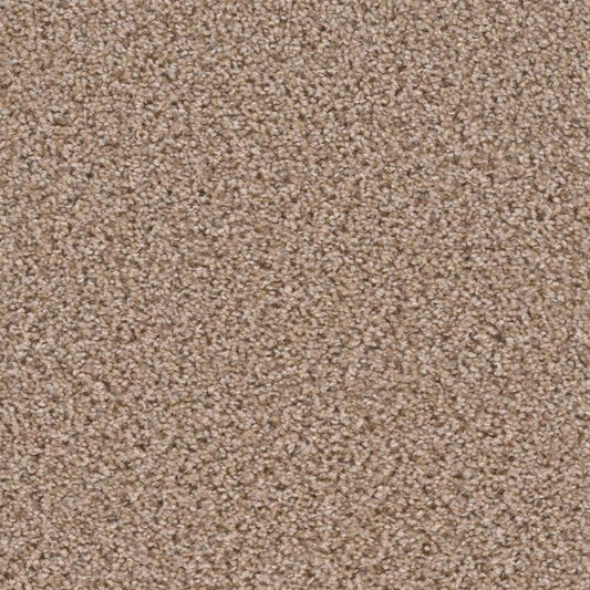 Carpet Flooring
