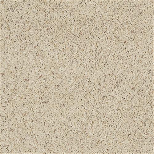 Carpet Flooring