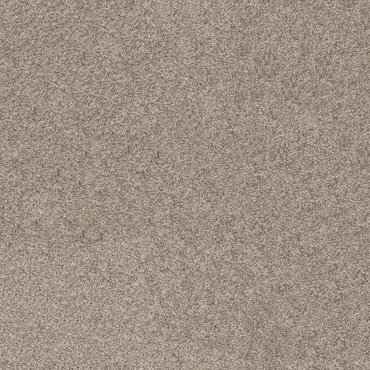 Carpet Flooring