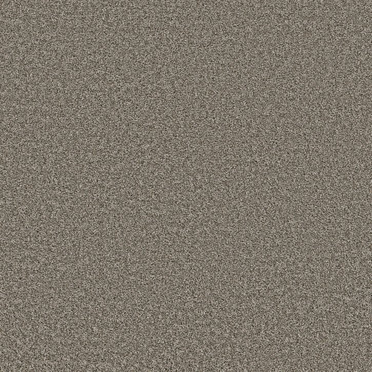 Carpet Flooring