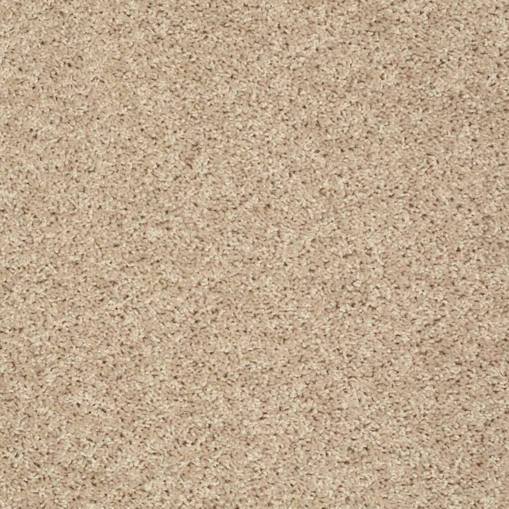 Carpet Flooring