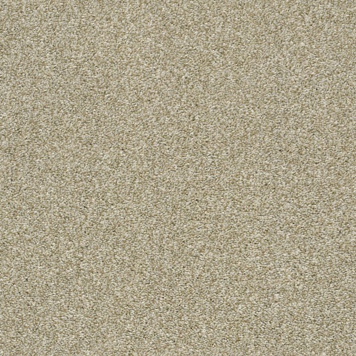 Carpet Flooring
