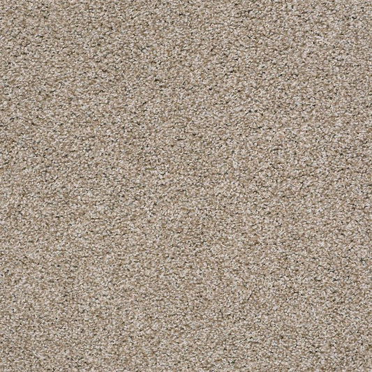 Carpet Flooring