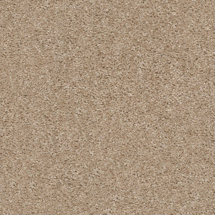 Carpet Flooring