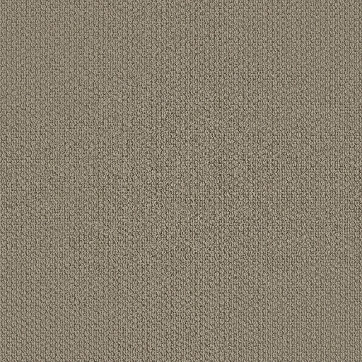 Carpet Flooring