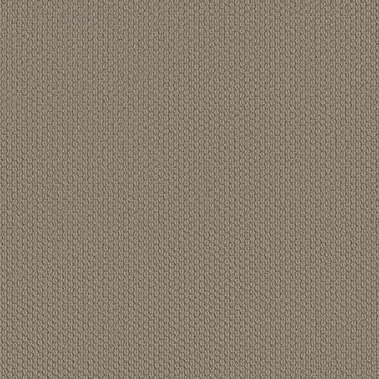 Carpet Flooring