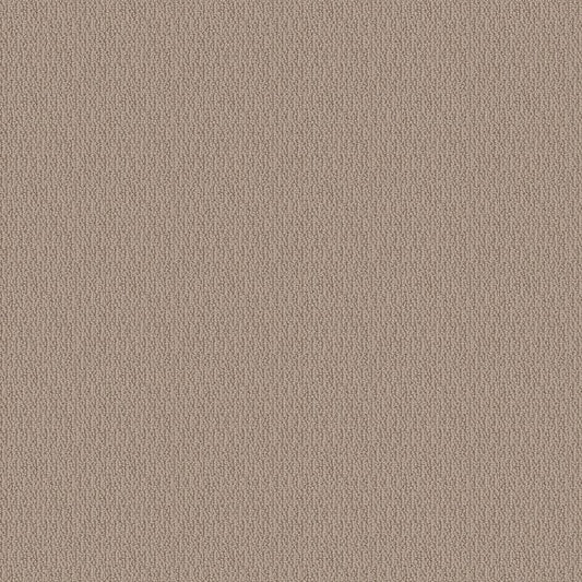 Carpet Flooring