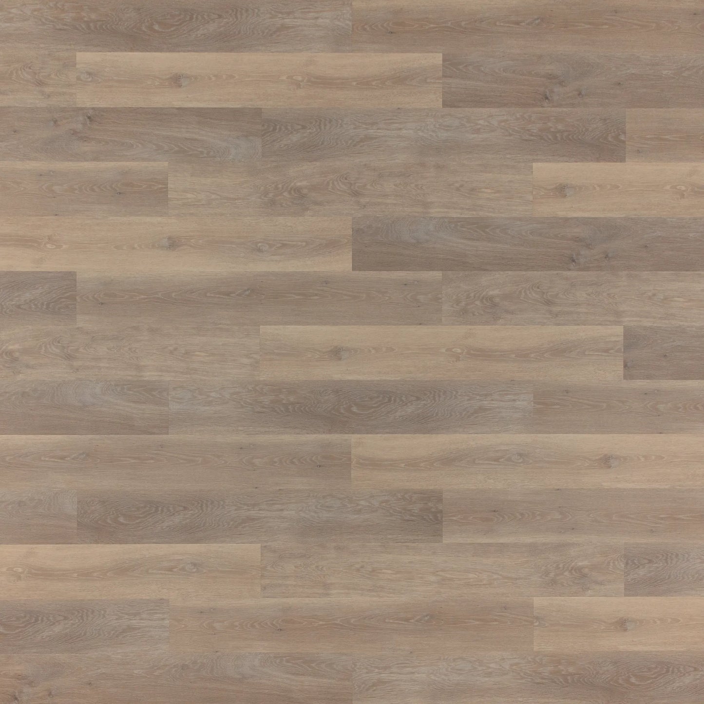 LVP GLUEDOWN FLOORING