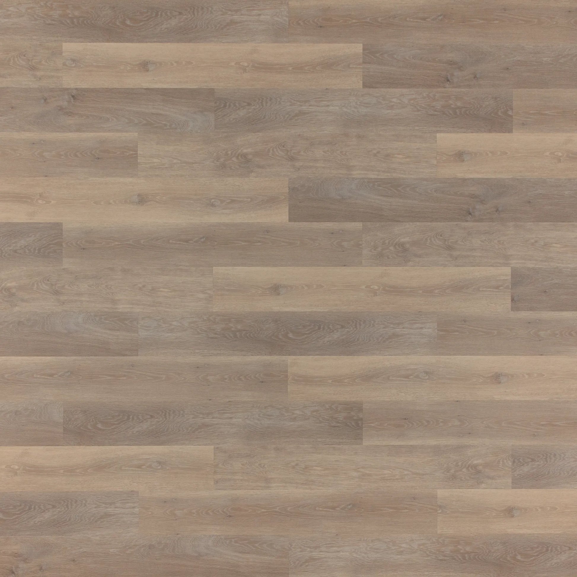 LVP GLUEDOWN FLOORING